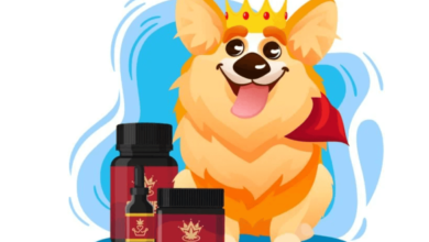 How Much Cbd Dog