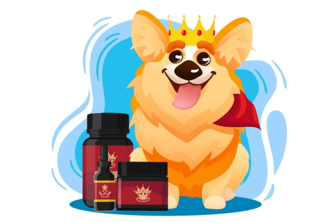 How Much Cbd Dog