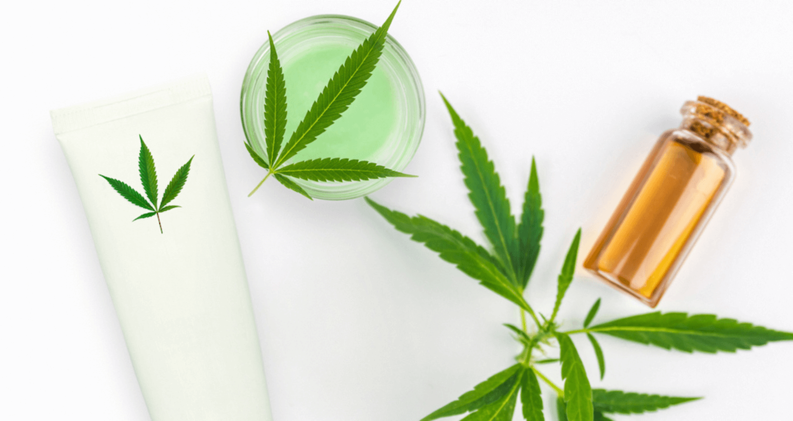 How to Become Cbd Certified