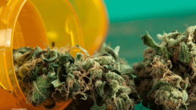 Louisiana’s Medical Marijuana Program: A Comprehensive Overview of Product Options and Dispensaries