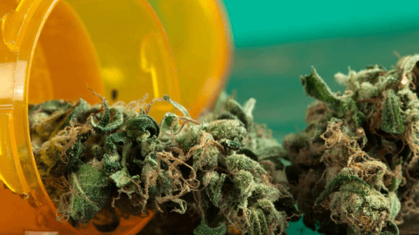 Louisiana’s Medical Marijuana Program: A Comprehensive Overview of Product Options and Dispensaries