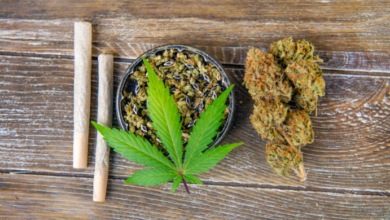 BudsCannaCorner | Explore Cannabis Across the U.S. & Canada