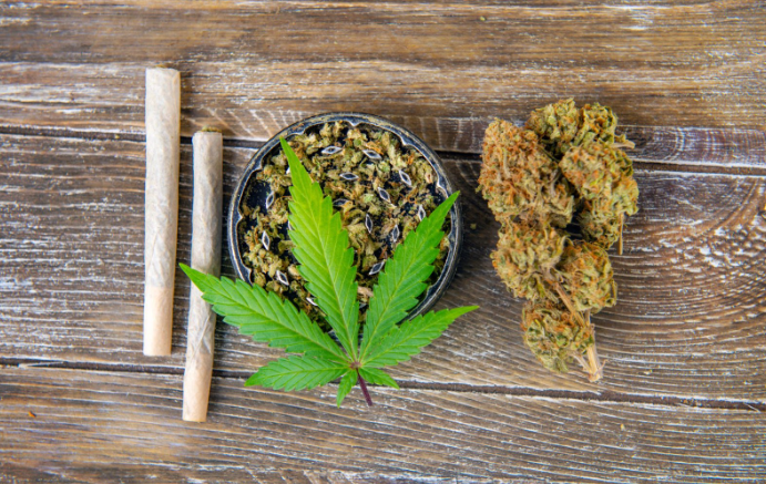BudsCannaCorner | Explore Cannabis Across the U.S. & Canada