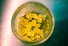 Exploring How Cannabis Concentrates Stack Up Against Flower