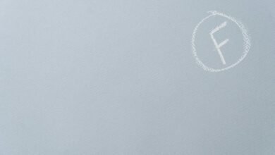 enterprise performance assessment report